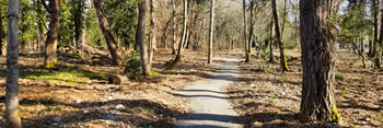 Hiking trail